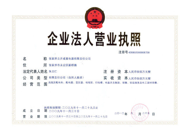 法人营业执照